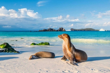 Día mundial del medio ambiente: ¿cómo puedes colaborar con el turismo sostenible?