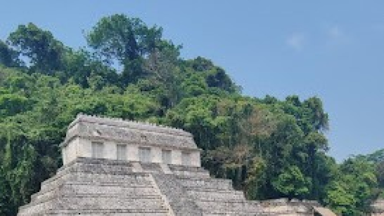 Palenque, un encuentro con la historia