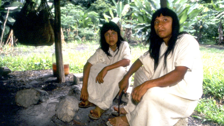 Selva Lacandona: un refugio cultural que late en Chiapas