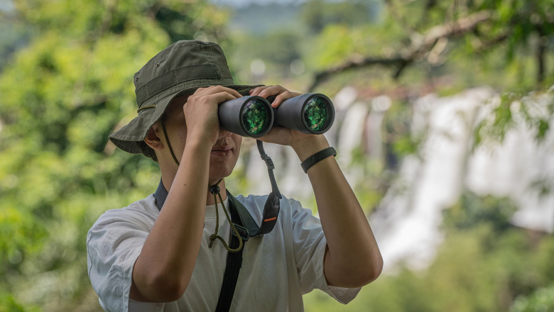 Diferentes experiencias para disfrutar del Parque Nacional Iguazú
