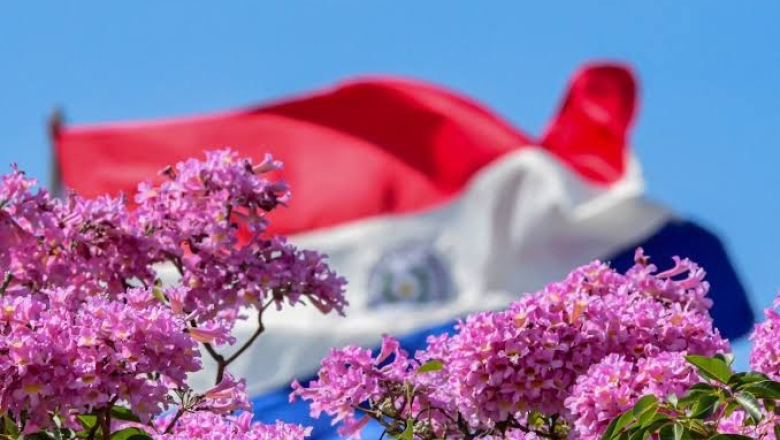 PRIMAVERA: 10 DESTINOS DONDE EL MUNDO VUELVE A FLORECER