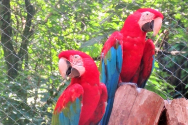 Refugio de animales salvajes GUIRA OGA