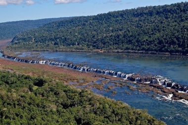 Misiones es Sinonimo de selva