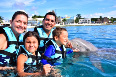 DOLPHIN CO a busca los mejores 100 agentes de viajes de Latinoamérica