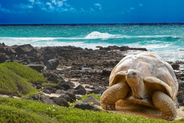 Islas Galápagos, donde nació  la teoría de la evolución