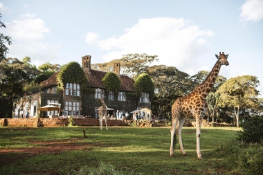 ¡Existe un hotel donde puedes convivir con jirafas!