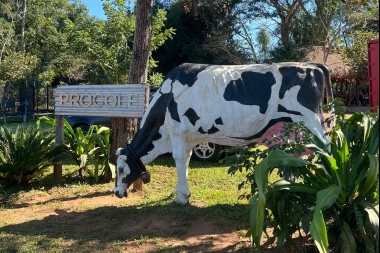 El tour del queso en Paraguay!