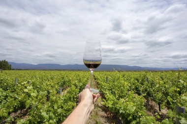 UNA BODEGA DE ARGENTINA, ELEGIDA CON EL MEJOR VIÑEDO DEL MUNDO