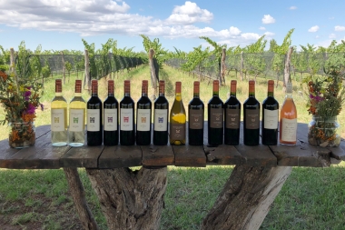 Alpamanta, “Amor por la tierra”, vinos creados con uvas organicas -biodinámicas
