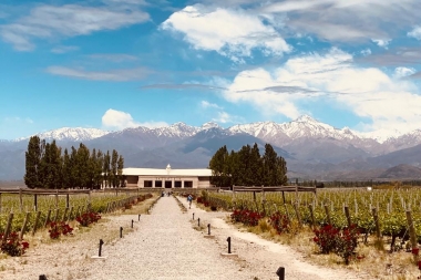 Bodegas Salentein, vinos de primera, arte, gastronomía y buen vivir