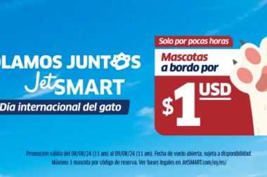 Con JetSMART puedes viajar con tu michi de paseo por tan solo $1