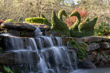 Garden Park de Gramado: naturaleza, historia y experiencias memorables