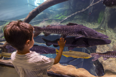 AquaFoz: un viaje de los ríos al océano en Foz do Iguaçu