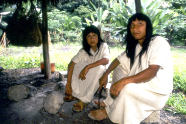 Selva Lacandona: un refugio cultural que late en Chiapas