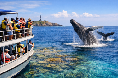 Ballenas y Brasil: un viaje que late con la naturaleza