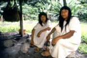 Selva Lacandona: un refugio cultural que late en Chiapas